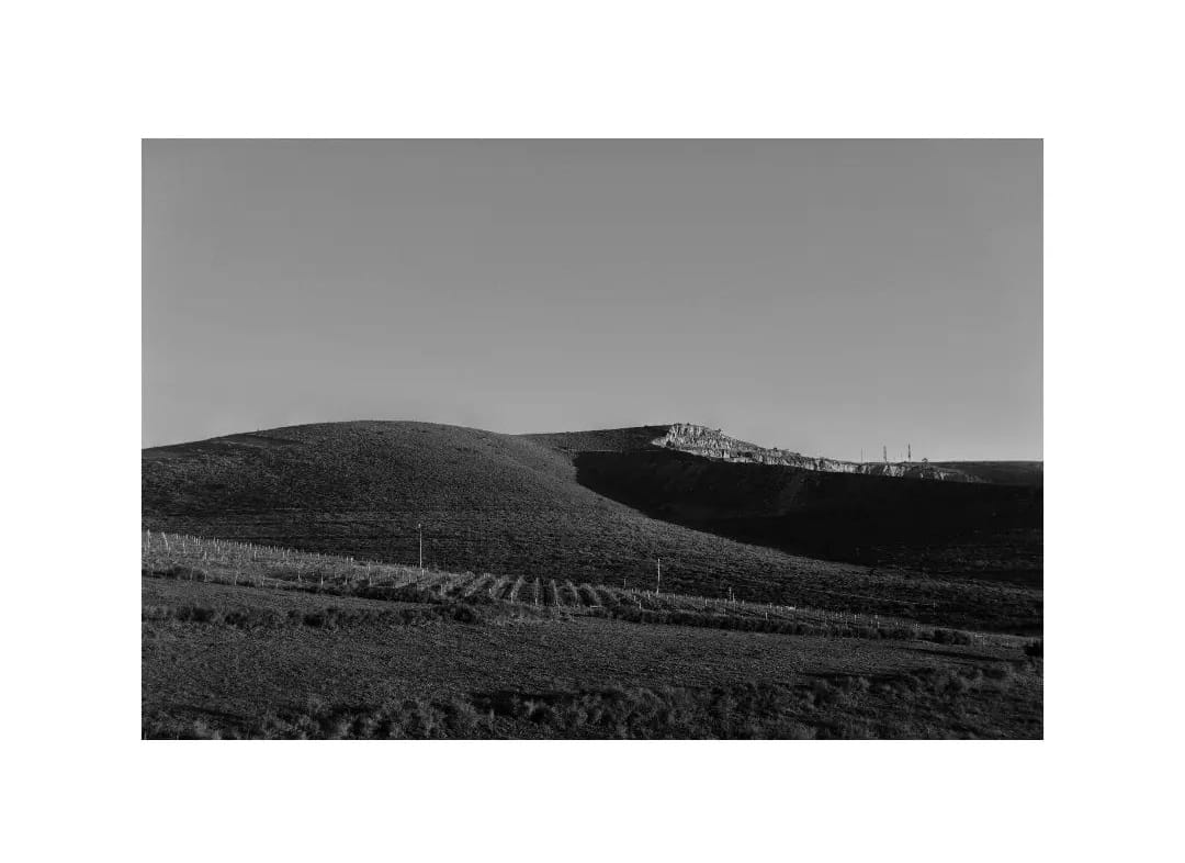 Black and white vineyard beneath a rounded hill