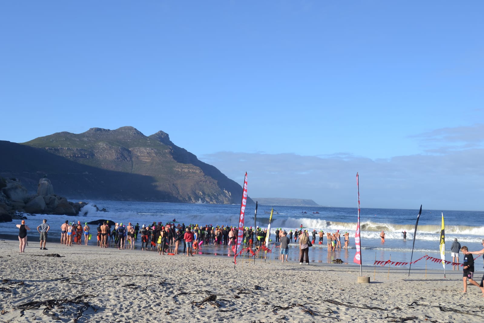 Swimmers lined up along the shoreline